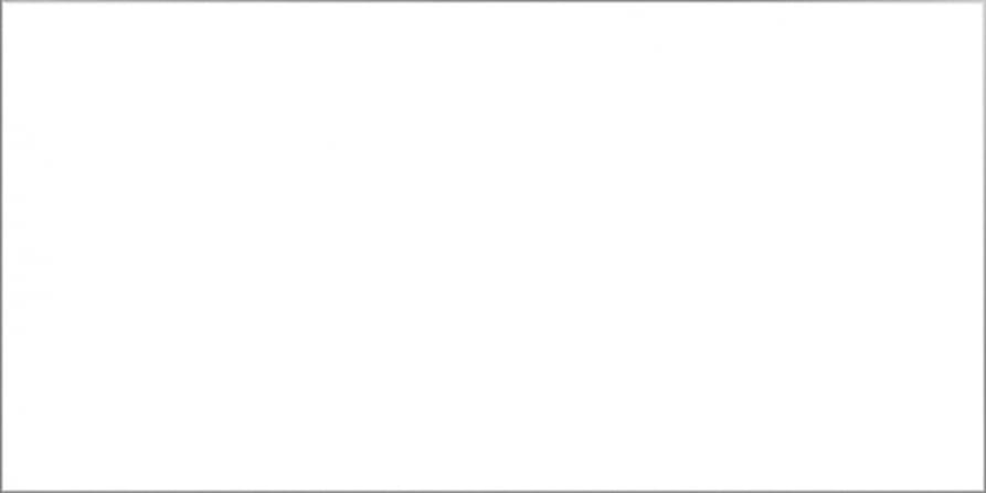 Brillant White Poler 60x120