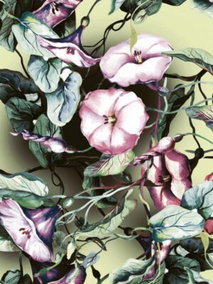 Diamond Sparkle GLORIA Sugar 60x60