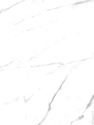 Perseo Carrara Mat CARVING 60x120