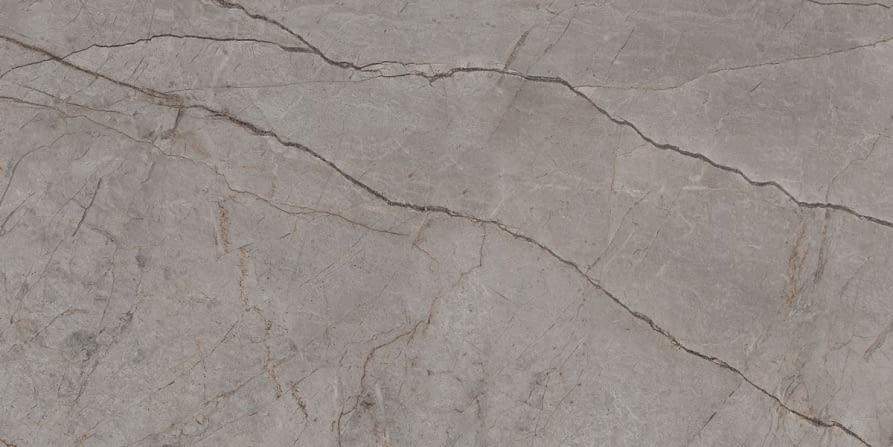 Silver Roots Grey Poler 60x120