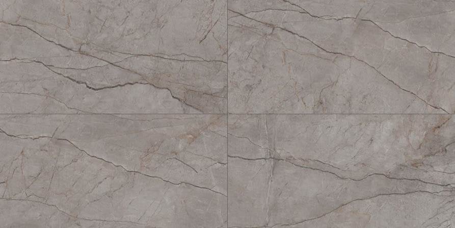 Silver Roots Grey Poler 60x120 - Image 2