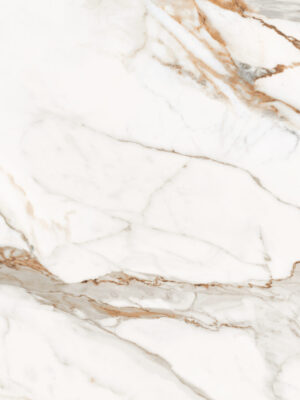 Calacata gold mat 60x120 (15)