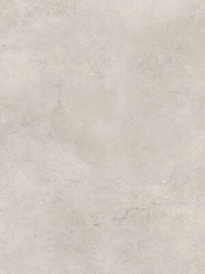 Natural stone cold grey mat 60x120 (54)