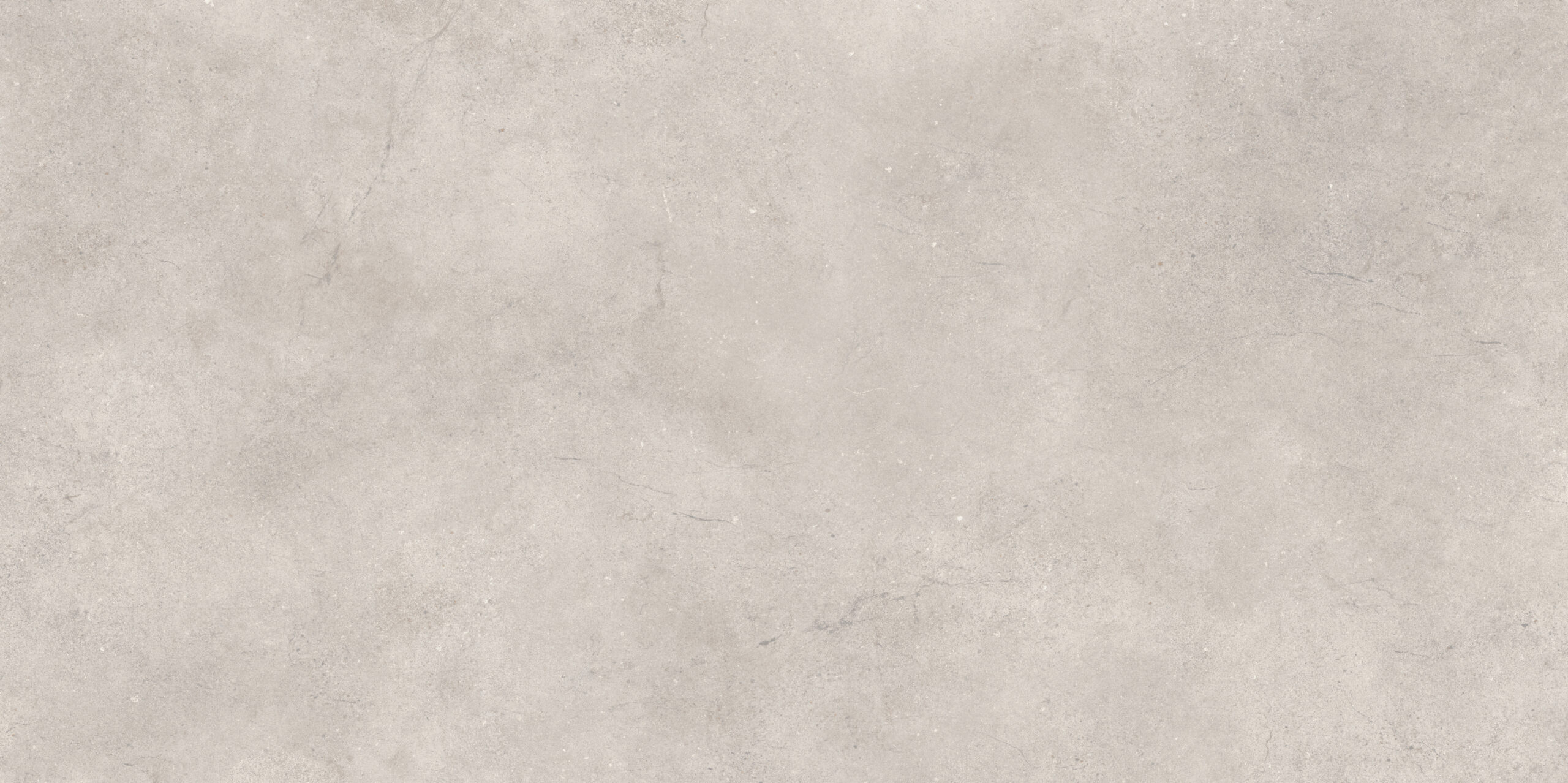 Natural stone cold grey mat 60x120 (54)