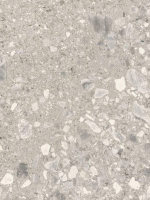 Teraco cold grey mat 60x120 (6)