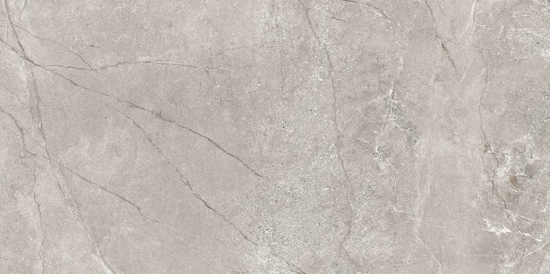 Den light grey mat 60x120 (396)