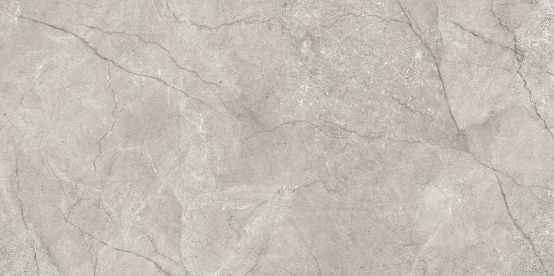 Den light grey mat 60x120 (396) - Image 3