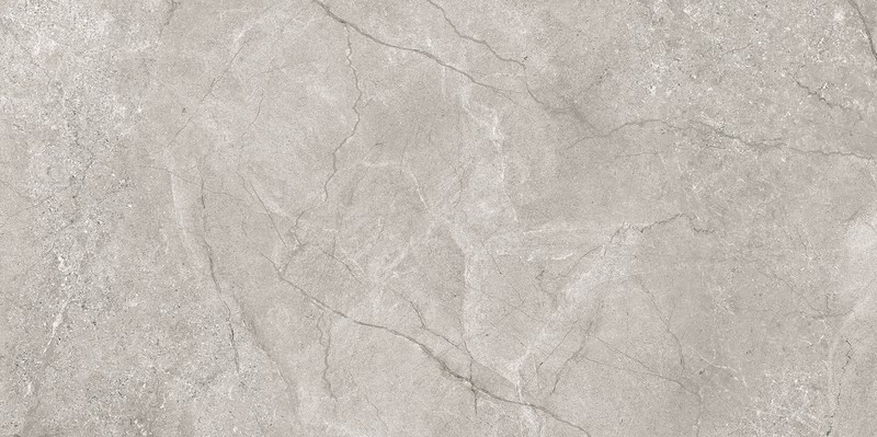 Den light grey mat 60x120 (396) - Image 6