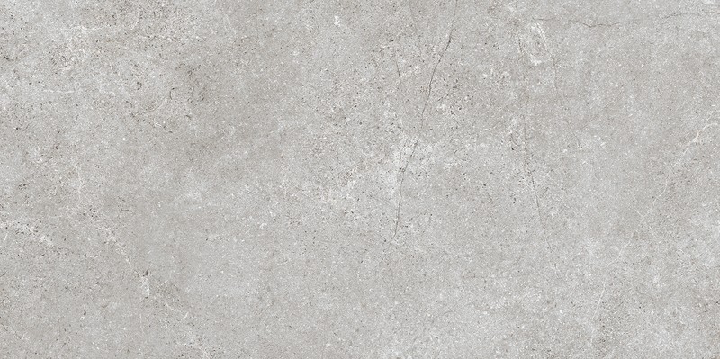 Edor grey mat 60x120 (366)