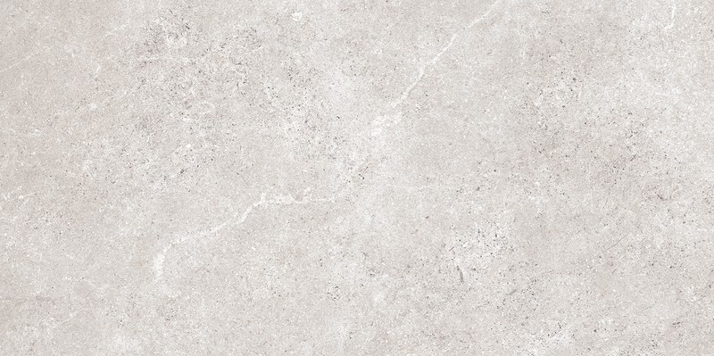 Edor light grey mat 60x120 (367)