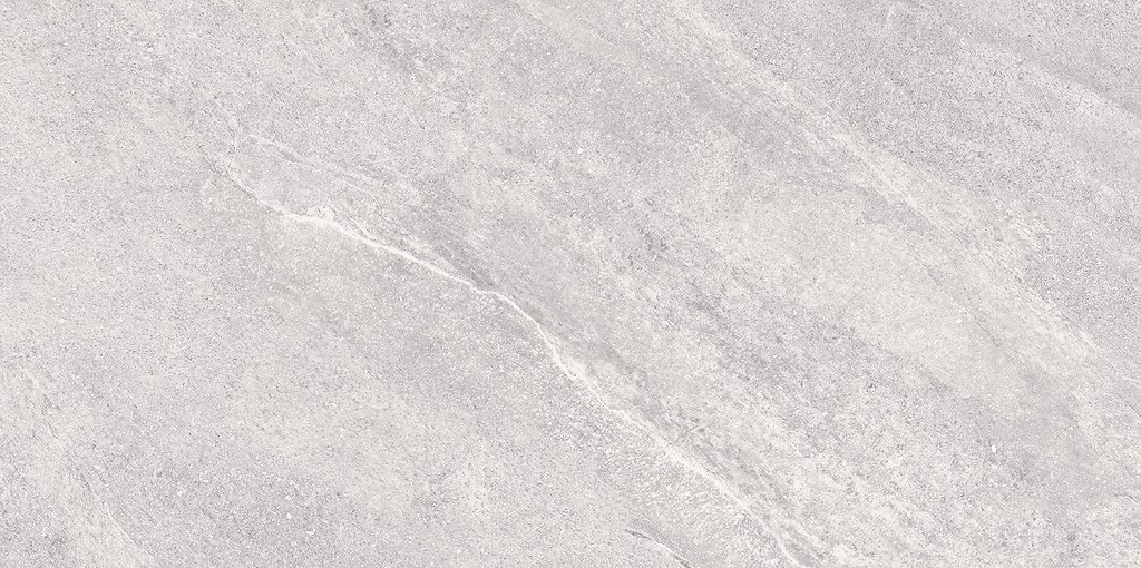 Dream light grey mat 60x120 (110)