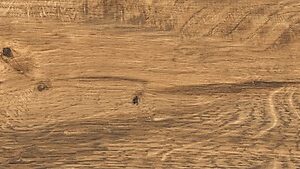 Rum beige mat 14,7x89 (67)