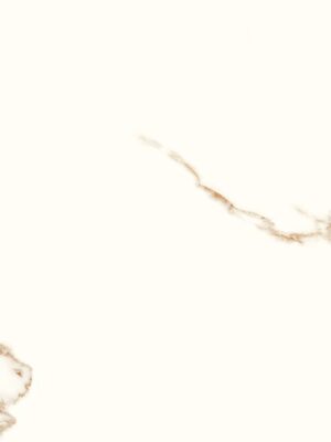 Altiz white poler 60x120 (336)