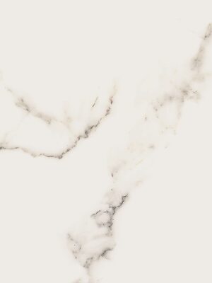 Carara premium white poler 60x120 (226)