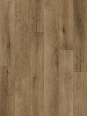 Leccio Beige 18.2x122