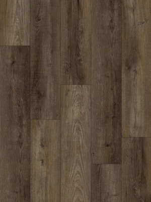 Carrubo Coffee 18.2x122