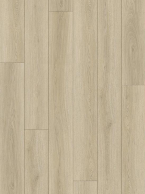 Betulla Bone 18.2x122