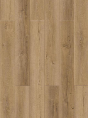 Arancio Beige 18.2x122