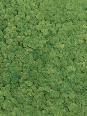 Diamond Sparkle CLADONIA Sugar 60x60