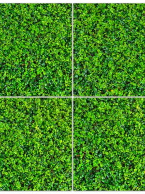 Diamond Sparkle RAMI Sugar 60x60