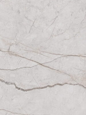 Silver Roots Bianco Poler 60x120