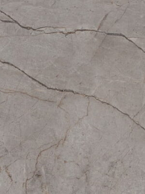 Silver Roots Grey Poler 60x120