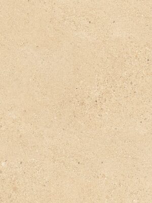 Stone warm beige mat 60x120 (61)