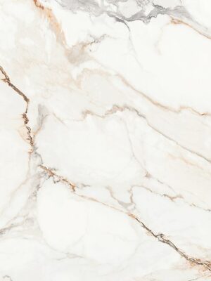 Calacata Ariatta poler 60x120 (379)