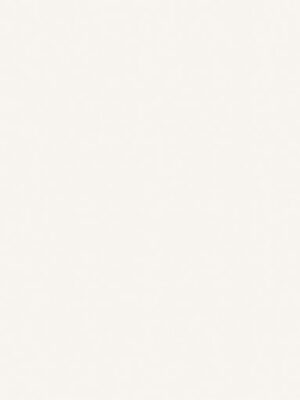 Diamond white poler 60x120 (231)