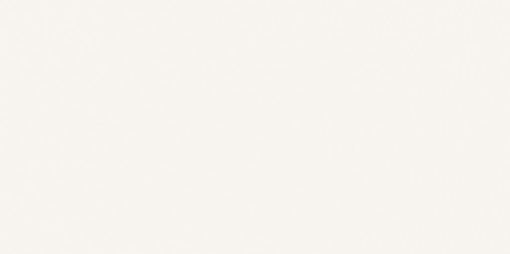 Diamond white poler 60×120 (231)