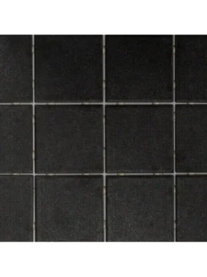 Taiga black mat 10x10